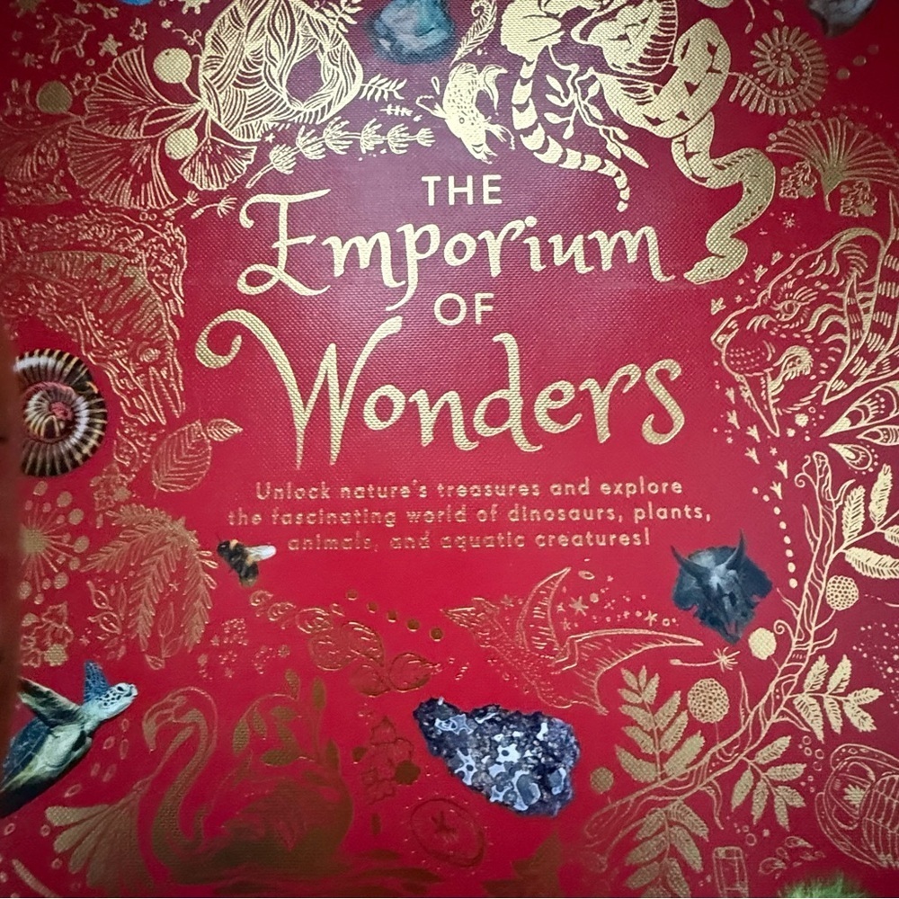 DK Anthology The Emporium of Wonders Bold Red Hardcover Children’s Book - Picture 3 of 9